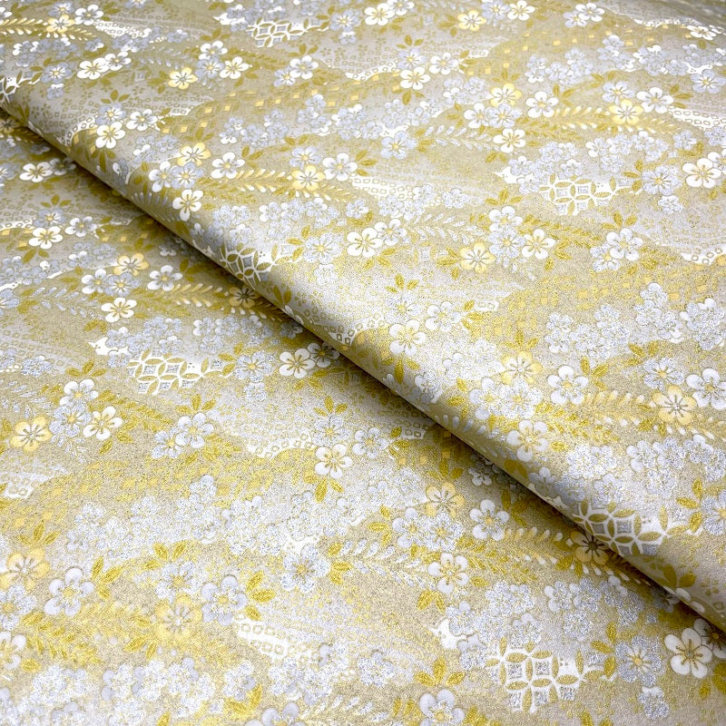 Y0565