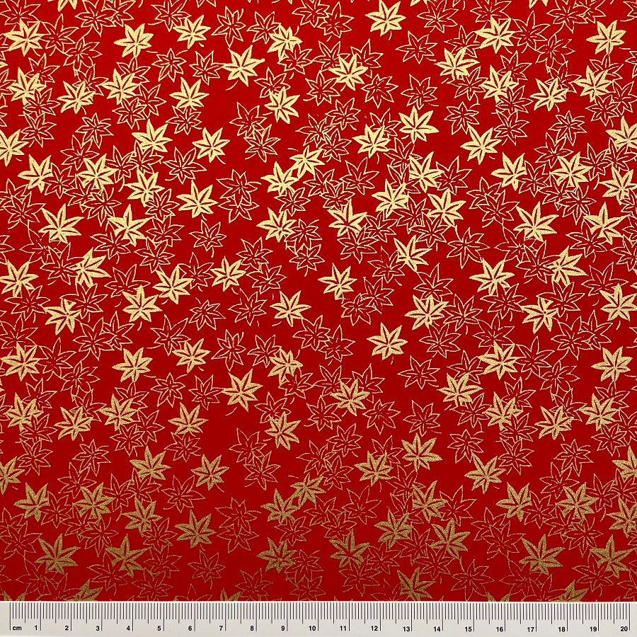 Y0749