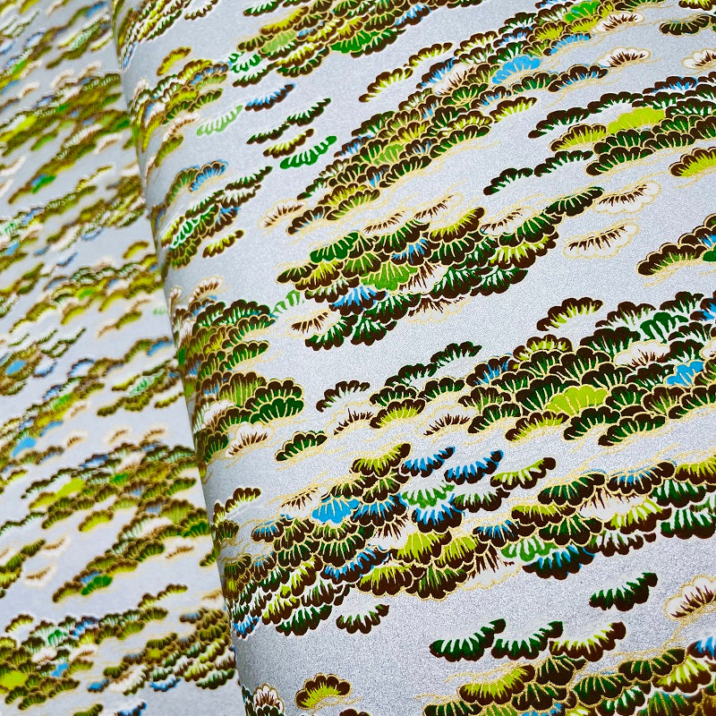 Y0805