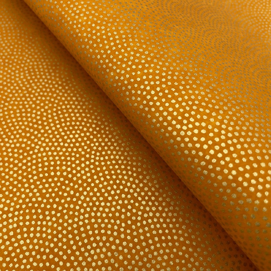 Y0225