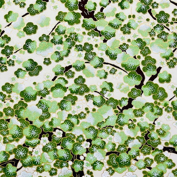 Y0507
