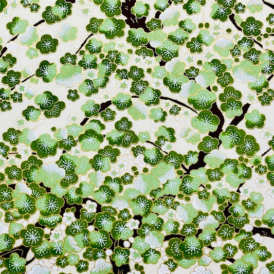 Y0507