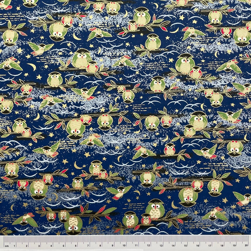 Y0810