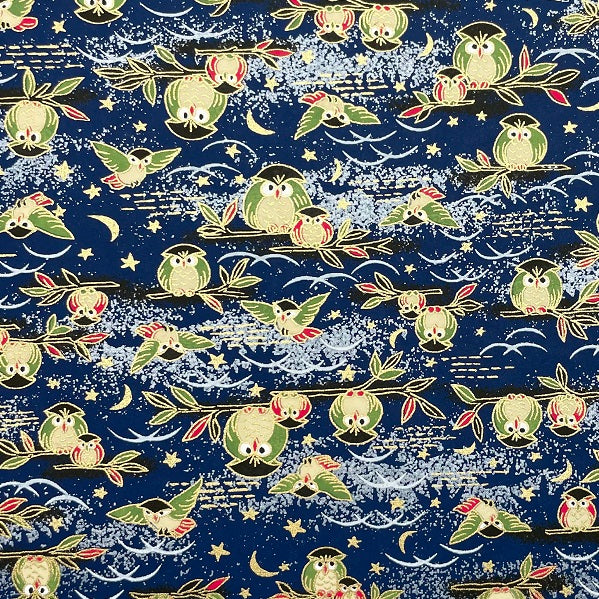 Y0810