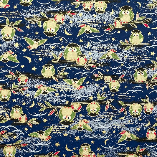 Y0810